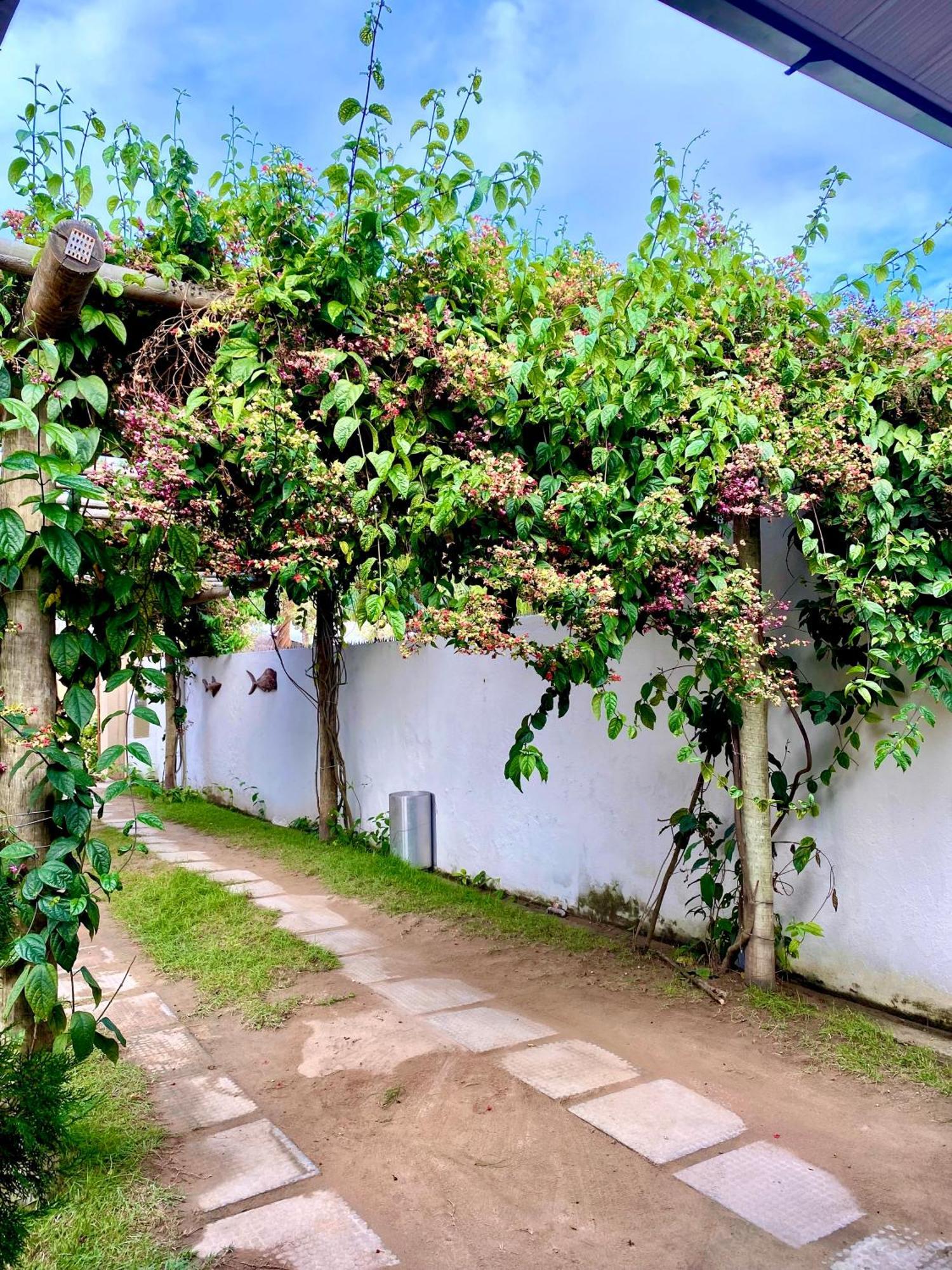 Pousada Paraiso Dos Milagres Sao Miguel dos Milagres Exterior photo